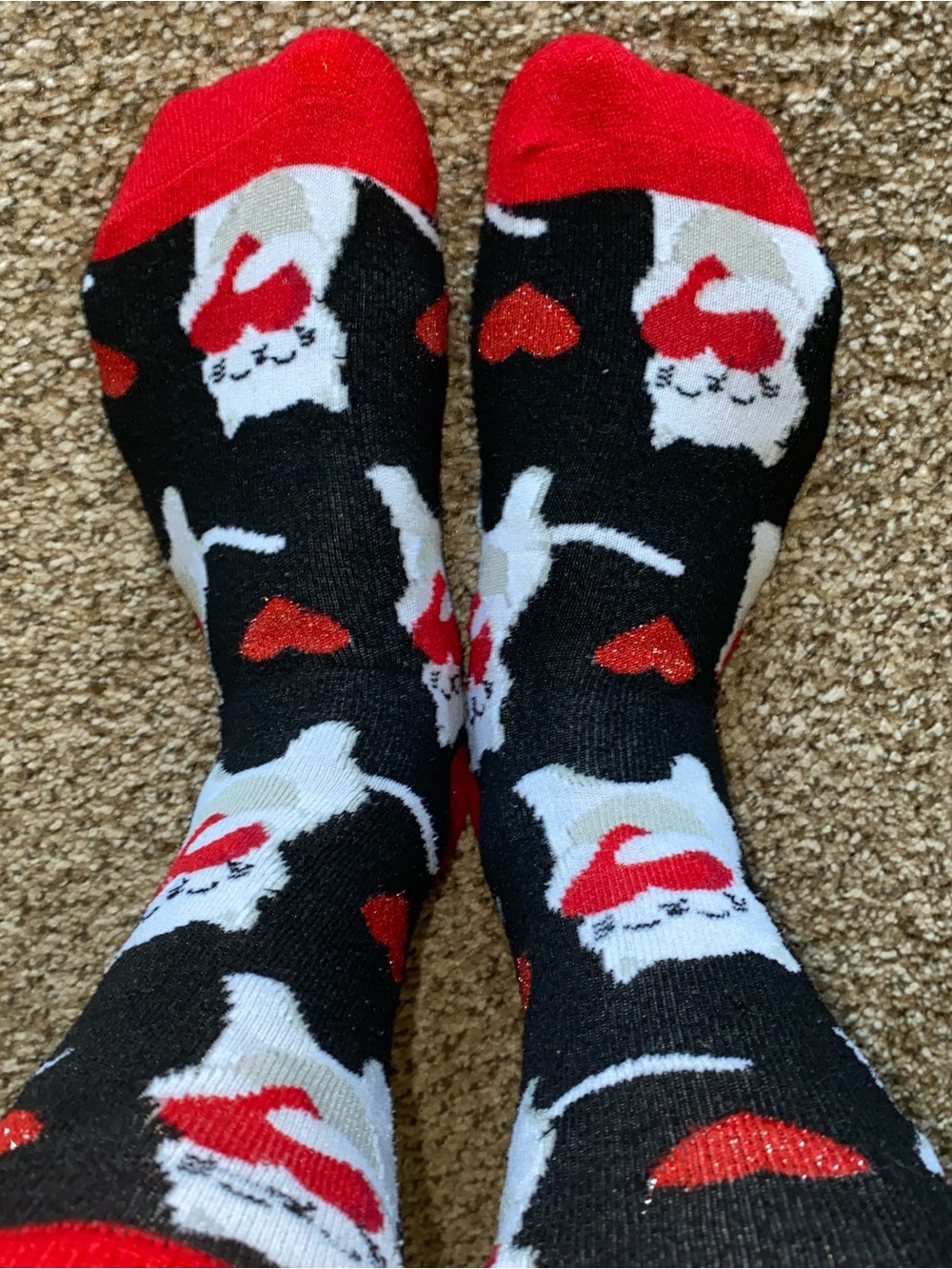 Black & Red Cat Pattern Crew Socks - womens
